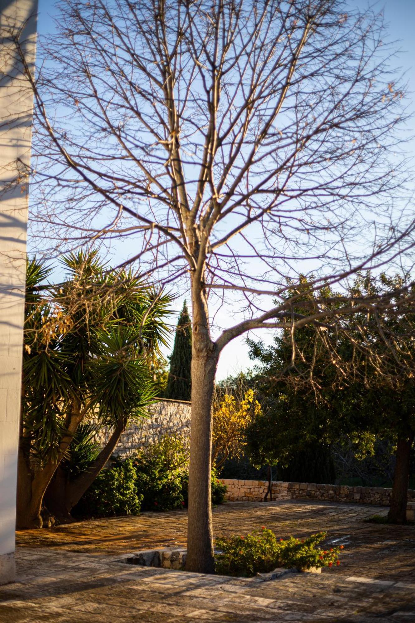 Masseria Del Crocifisso Полиньяно-а-Маре Экстерьер фото