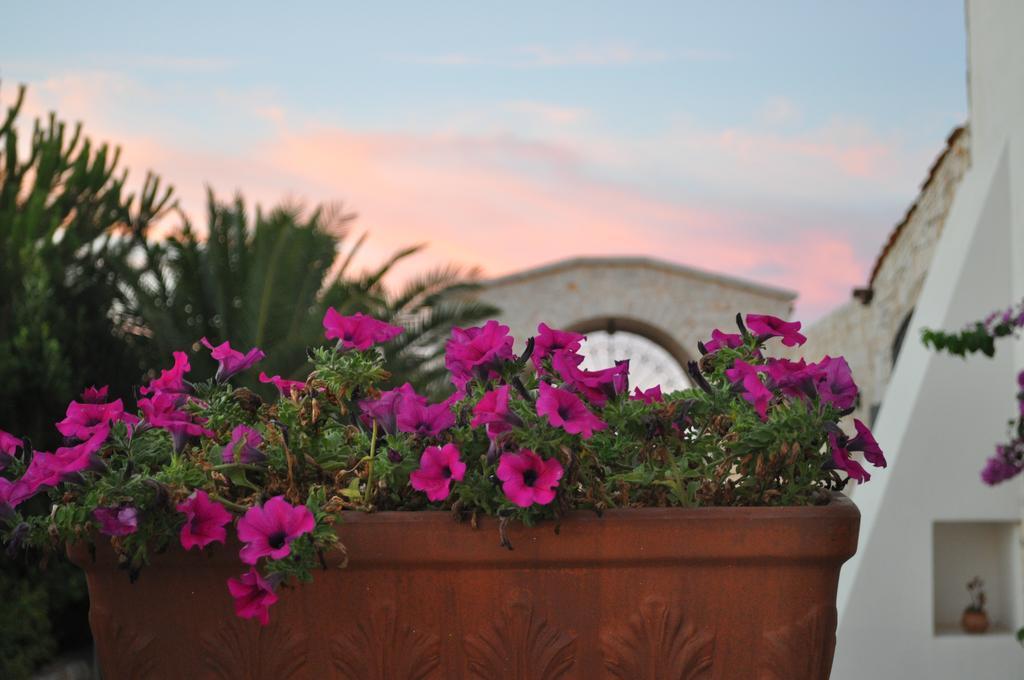 Masseria Del Crocifisso Полиньяно-а-Маре Экстерьер фото